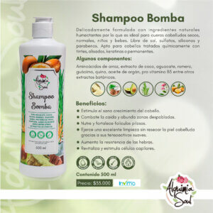 Shampoo Bomba Alquimia Soul
